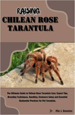 Raising Chilean Rose Tarantula: The Ultimate Guide to Chilean Rose Tarantula Care: Expert Tips, Breeding Techniques, Handling, Enclosure Setup and Essential Husbandry Practices for Pet Tarantula.
