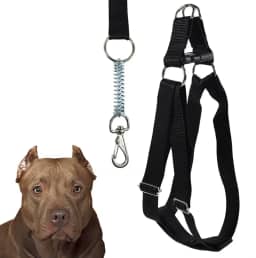 Peitoral Americano Coleira Com Guia Para Cachorro Porte Grande Resistente (Preto)