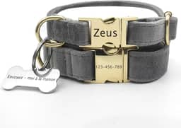 Coleira de cachorro peluda macia personalizada com etiqueta de cachorro personalizada, gravação a laser, 24 fontes, circunferência do pescoço de 20-30 cm (cinza)