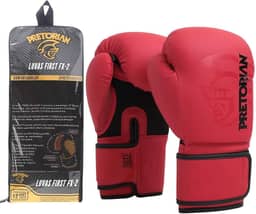 Luva de Boxe e Muay Thai FX2 Pretorian