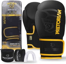 Luva de Boxe e Muay Thai FX2 Pretorian + Protetor Bucal + Bandagem 2.8M