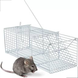 Ratoeira Para Ratos Gaiola Roedores 1 Unidade Cor Branca Jel Plast Pet Roe