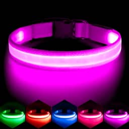 VIZPET Coleira de LED para cães, coleira de cachorro ajustável, recarregável, super brilhante, luz de segurança, coleira brilhante para cães (roxo, pequeno [11,02-15,74 polegadas/28-40 cm])