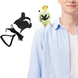 Trelas e arreios ajustáveis para pássaros, arnês de nylon para pássaros com asa fofa para papagaios, acessórios para pássaros de estimação, coleira para pássaros, adequado para calopsita, quaker,