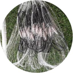 Tarrafa para pescar tilapia, pacu, corvina, mandi, piapara