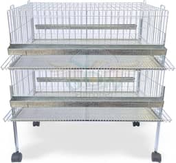 Kit 2 Gaiola Codorna Gigante Postura Viveiro Bandeja 40 Aves Poedeira Bateria (COM BASE)