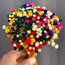 Buquê Rústico Mix de Flores Secas Sempre-Vivas, Arranjo Natural Decorativo (MIX COLOR 2)