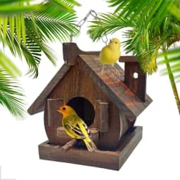 Casinha De Passarinho Livres Silvestres Madeira Tratada Eco