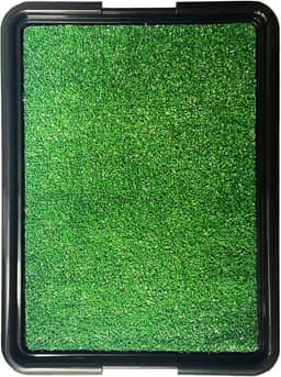 Brinqpet Sanitário Canino Banheiro Para Cães Com Grama Eco Pet, Dispensa Tapetes Descartáveis, Perfeito para Casas e Apartamentos, Fácil Limpeza, Verde
