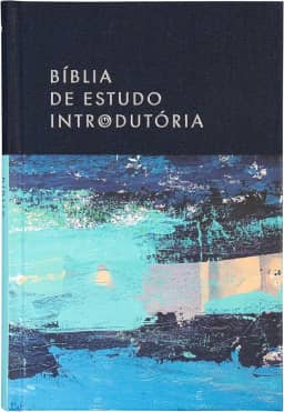 Bíblia de Estudo introdutória, NVI, Capa dura com tecido, Leitura Perfeita