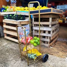 Carrinho de Compras Dobravél para Feira e Supermercado 4 Tubo PRATA com 2 Rodas Reforçadas Águia (Dourado)