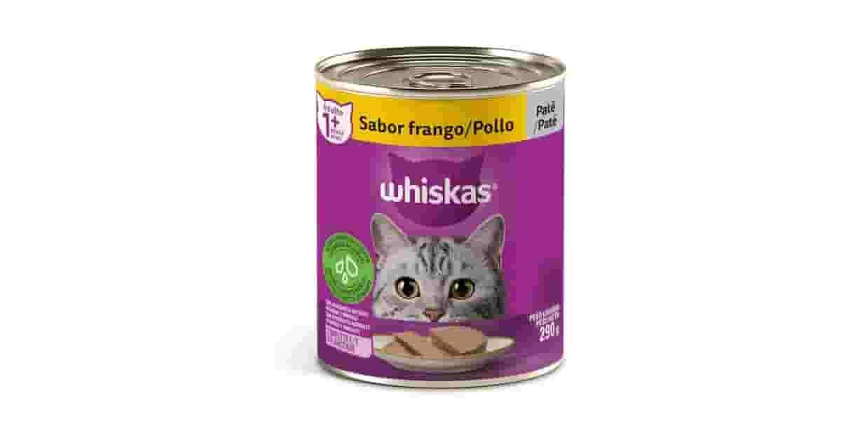 Melhores patês para gato: Para Filhotes e Adultos