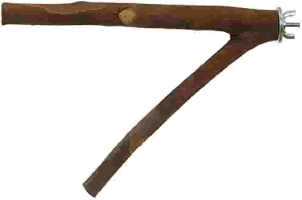 Poleiro Bragança Galho Natural Forquilha para Pássaros