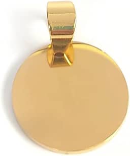 Plaquinha de Identificação Personalizável com Gravação a Laser para Cão ou Gato, Aço Inoxidável (Dourado)