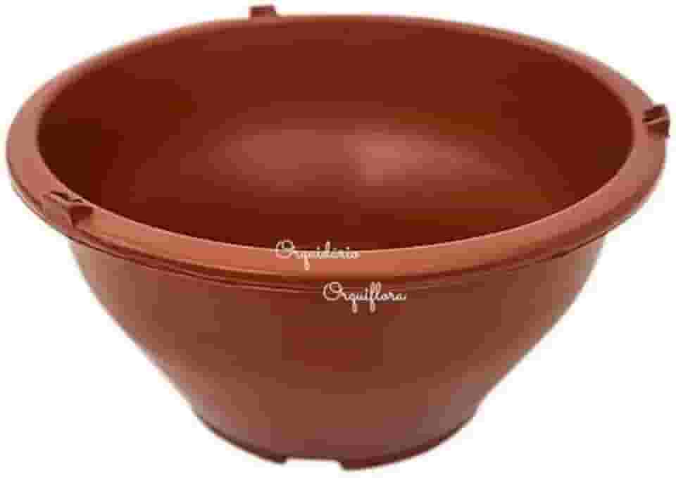 25 Vasos Terracota Suculentas Cactos Rosa Do Deserto Cuia 13