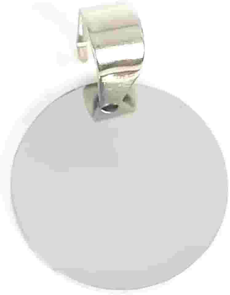 Plaquinha de Identificação Personalizável com Gravação a Laser para Cão ou Gato, Aço Inoxidável (Prata)