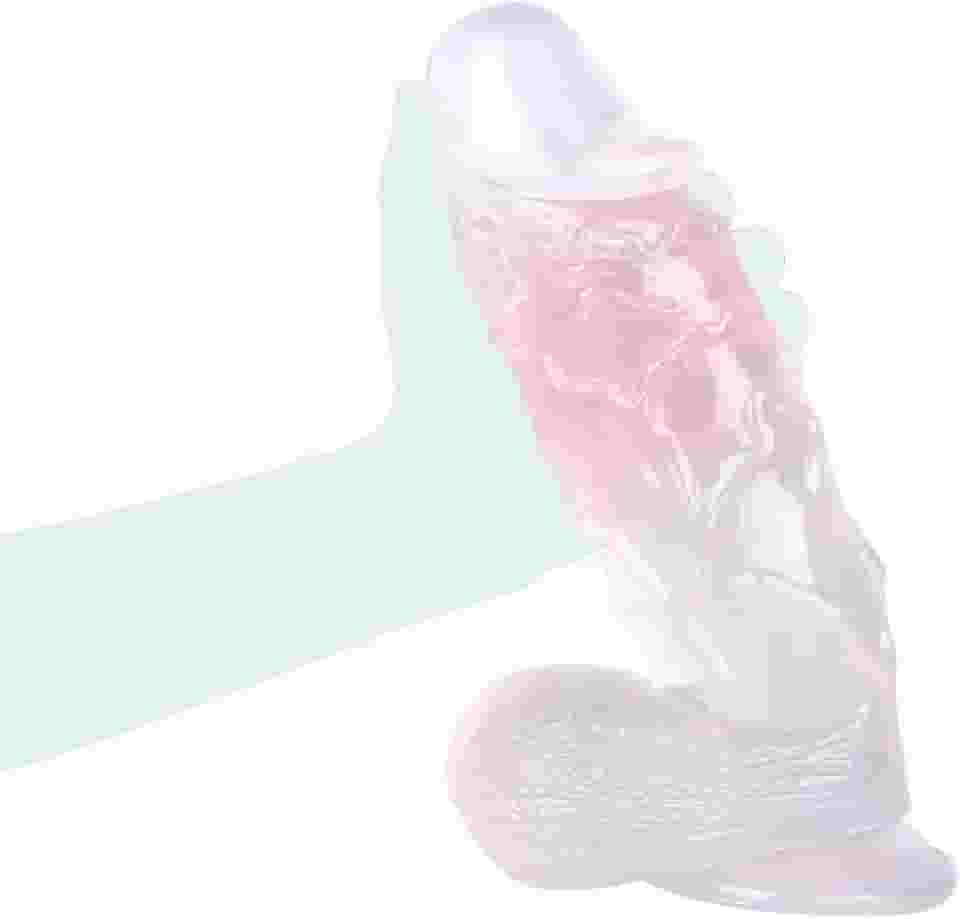 Penisde Silicone Grande Grosso feminino clitóris massagens vaginais sexuais nível Prova adulto de brinquedos Pe24 penisde borracha realistico negro