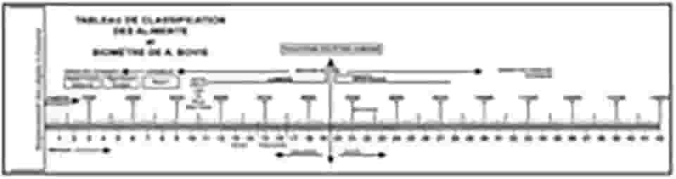 Placa Radiestesia Radiônica 9X30 cm - BIÔMETRO DE BOVIS