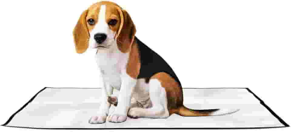 Tapete Higiênico Pet Lavável Reutilizável - Absorvente e Impermeável Para Cães e Gatos – Antivazamento 70x50cm