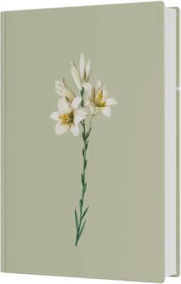 Bíblia Sagrada NVI - LETRA GRANDE: Lírios