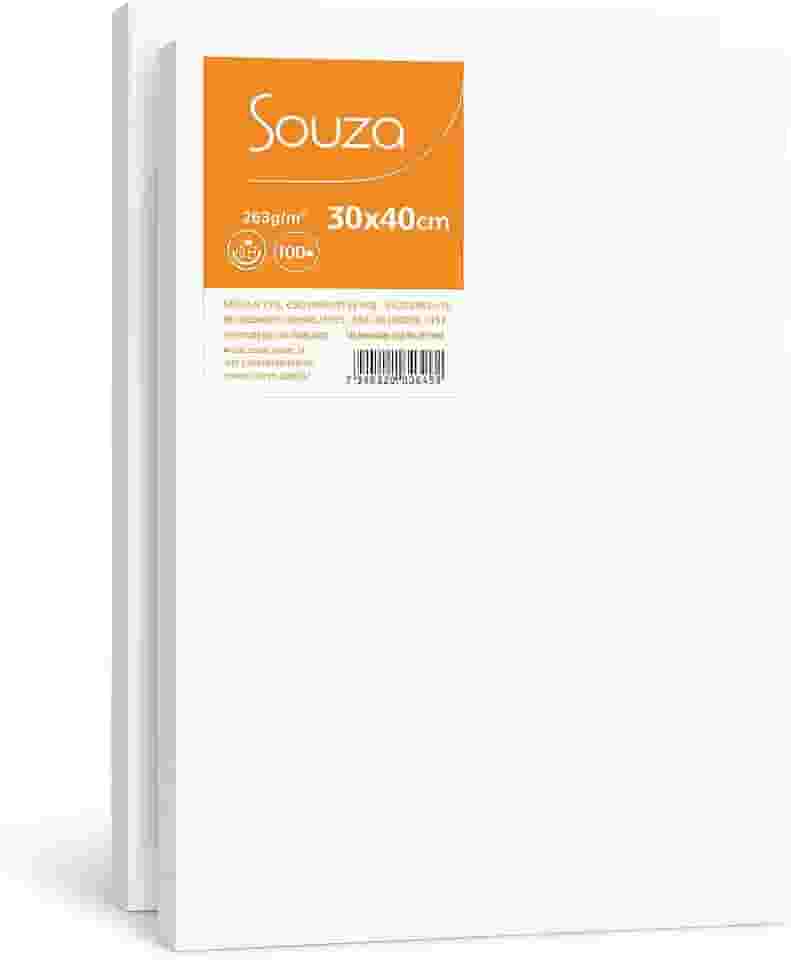 Kit com 2 Telas para Pintura Souza & Cia 30x40cm – Algodão 100% com Chassi de Madeira – Souza – Ideal para Iniciantes, Escola e Ateliê (Kit com 2 Telas – 30x40cm)