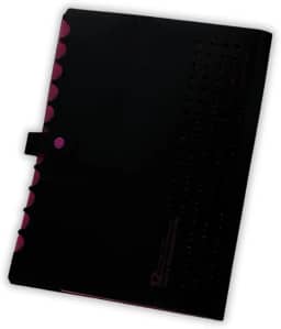 Pasta Sanfonada Catalogo A4 com 5 Divisórias Organizador de Documentos Neon Escritorio Escola Arquivo Papel Sulfite (Rosa)