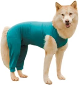 Roupa Protetora Pós Cirúrgica Pet Para Cachorro Membros Posteriores Pernas Traseira (Verde, 5)