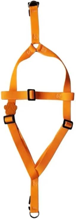 MY PET BRASIL Peitoral Neon Para Cachorros P Ajuste Fácil No Corpo Do Pet Coleira Peitoral Regulável Confortável E Resistente Laranja