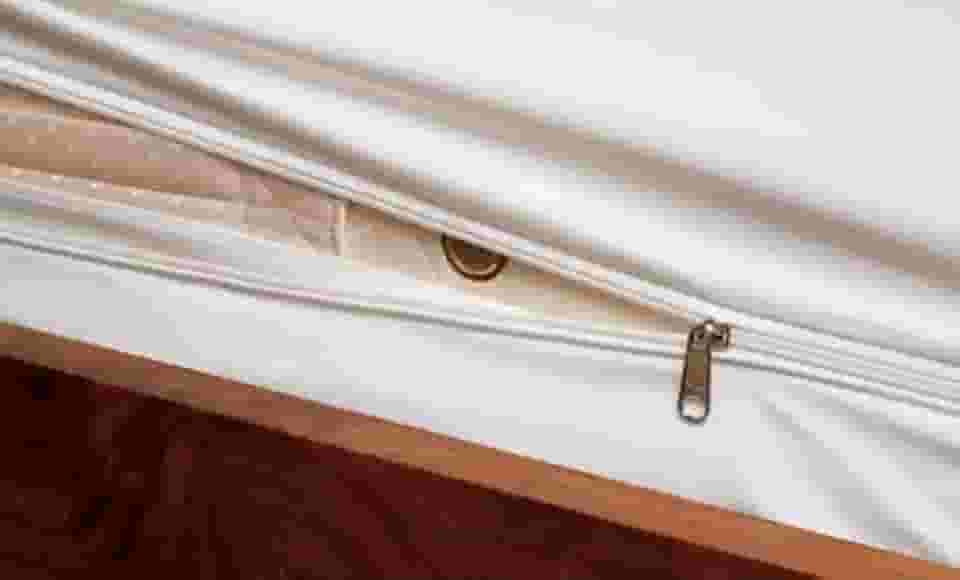 Revestimento de colchão à prova de ácaros e alérgenos (capa); 'microfibra premium' (Queen; 30 cm de profundidade)