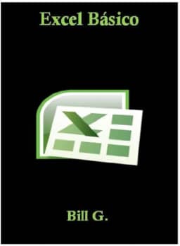 Curso Básico de Excel (Spanish Edition)