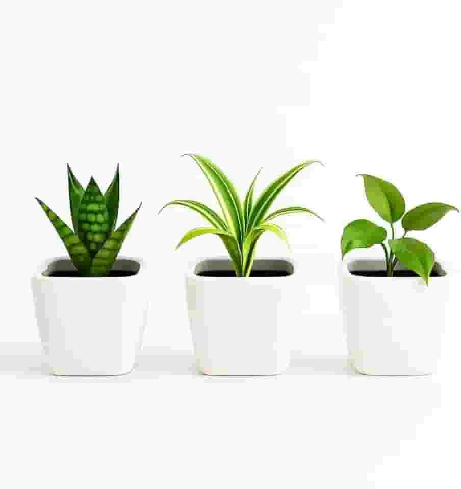 Kit 3 Mini Vasos De Cerâmica Preto Ou Branco, Estilo Minimalista, Ideal Para Suculentas, Arranjos E Decoração De Casa Ou Escritório (Branco, 5,0 de Altura)