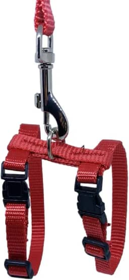 Peitoral com Guia Roedores Coelho PET para Passeios - Nylon