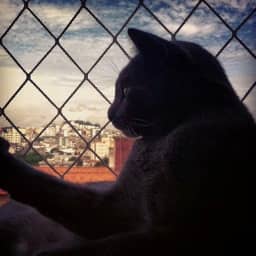 Kit Completo Rede Tela De Proteção Para Apartamentos, Sacadas, Janelas, Gatos e Crianças (Preta, 2m X 2m)