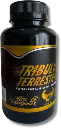 +Performance 120 Cápsulas 500mg