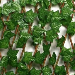 Kit 3 Treliças Sanfonadas Painel Madeira Expansível Cerca Hera Gradil De Plastico Com 2m Cada (Lisa Uva)