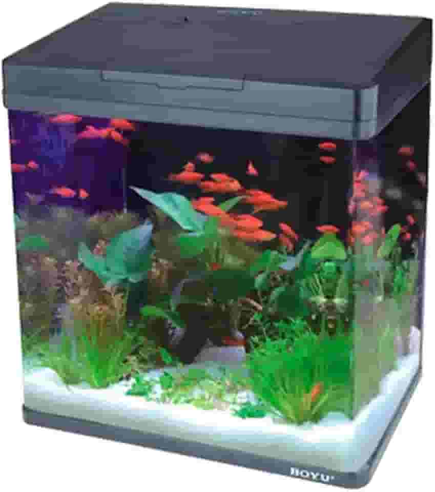 Boyu - Aquário Curvo Ms-320 20L Preto 220v