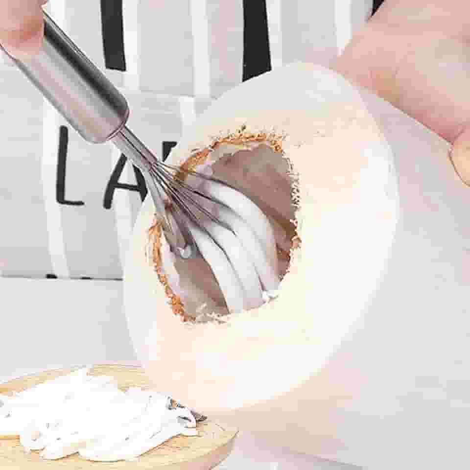 Ralador de coco multiuso de aço inoxidável, removedor de carne, melão, frutas, vegetais, escama de peixe, utensílios de cozinha