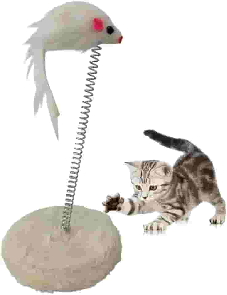 Arranhador Gato Pet Ratinho Guizo Mola Felino Brinquedo Interativo Animal de Estimaçao Macio Lazer Entretenimento Diversao