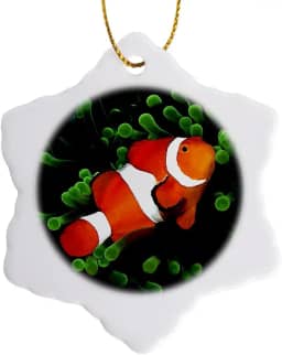 3dRose ORN_621_1 Ornamento de floco de neve de peixe e anêmona palhaço, 7,6 cm, multicolorido