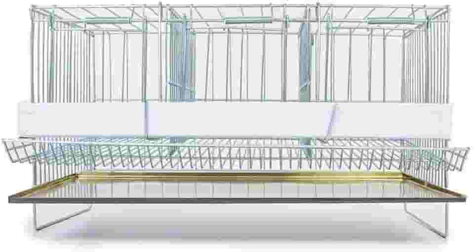 Gaiolas Para Codorna Pequena Poedeira Chapa Coletora
