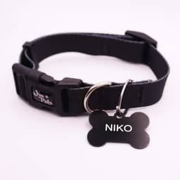 Coleira Ajustável Cachorro Yoo Pets e Plaquinha de Identificação Nome e Telefone PETS M (36 cm a 53 cm)