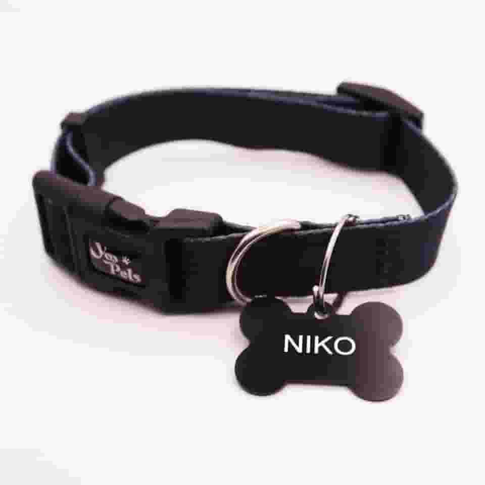 Coleira Ajustável Cachorro Yoo Pets e Plaquinha de Identificação Nome e Telefone PETS M (36 cm a 53 cm)