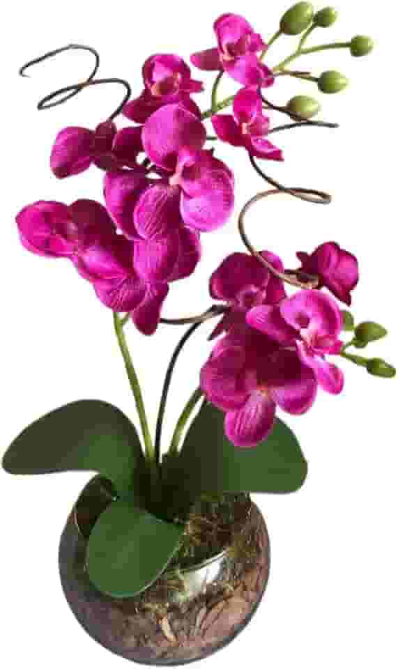 Arranjo De Flores Artificiais Orquidea 40 Cm Altura Com Vaso De Vidro E Musgo Natural Decoracao Sala quarto quarto(ROSA)