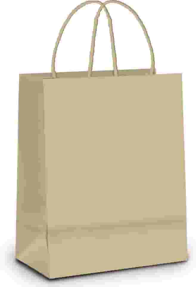 Sacola De Papel Para Presente Kraft C/ 10 Unidades Lisa Na Cor Pardo - Tamanho 21,5x15x8 Cm - Cromus Embalagens