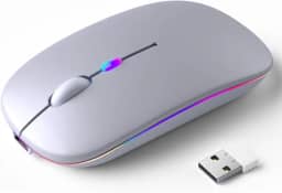 Mouse Sem Fio Recarregável, Ergonômico, com Led RGB, Conexão Dual Bluetooth 5.0/USB 2.4GHz, DPI Ajustável, perfeito para Notebook, Laptop,PC, Desktop, Silencioso (Prata)