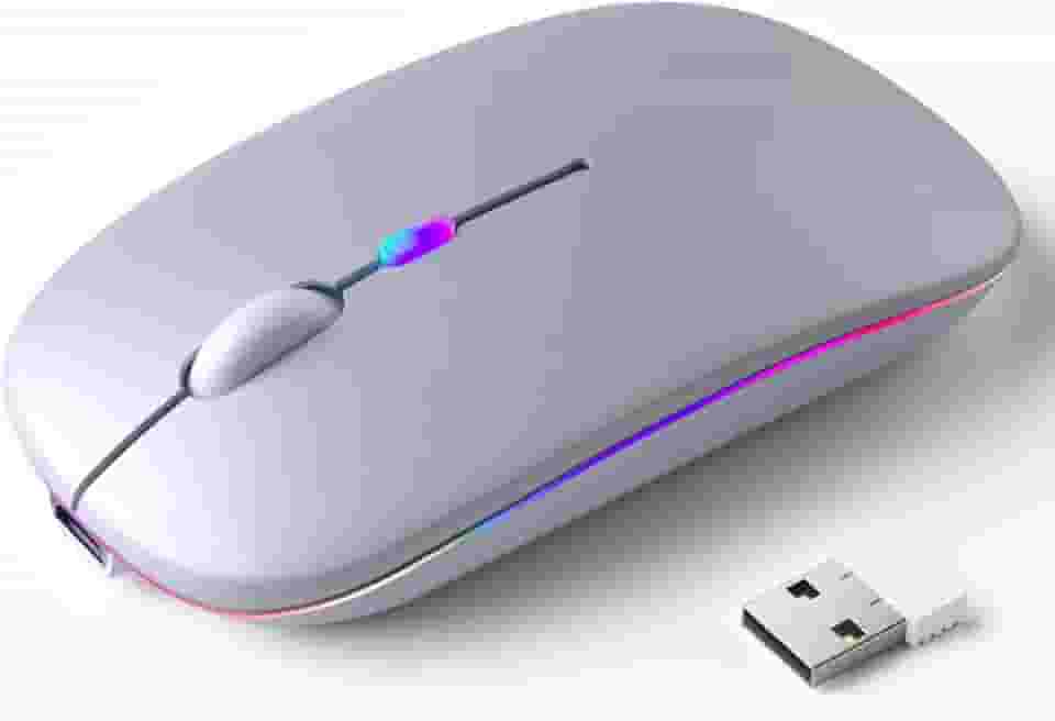 Mouse Sem Fio Recarregável, Ergonômico, com Led RGB, Conexão Dual Bluetooth 5.0/USB 2.4GHz, DPI Ajustável, perfeito para Notebook, Laptop,PC, Desktop, Silencioso (Prata)