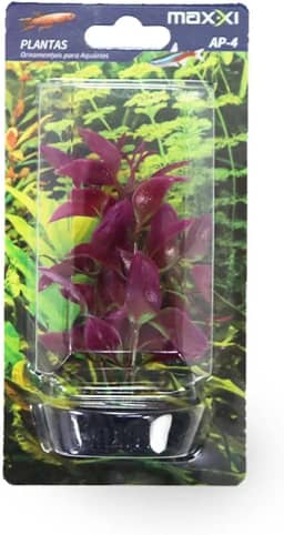 Maxxi Plantas AP052F2 10cm