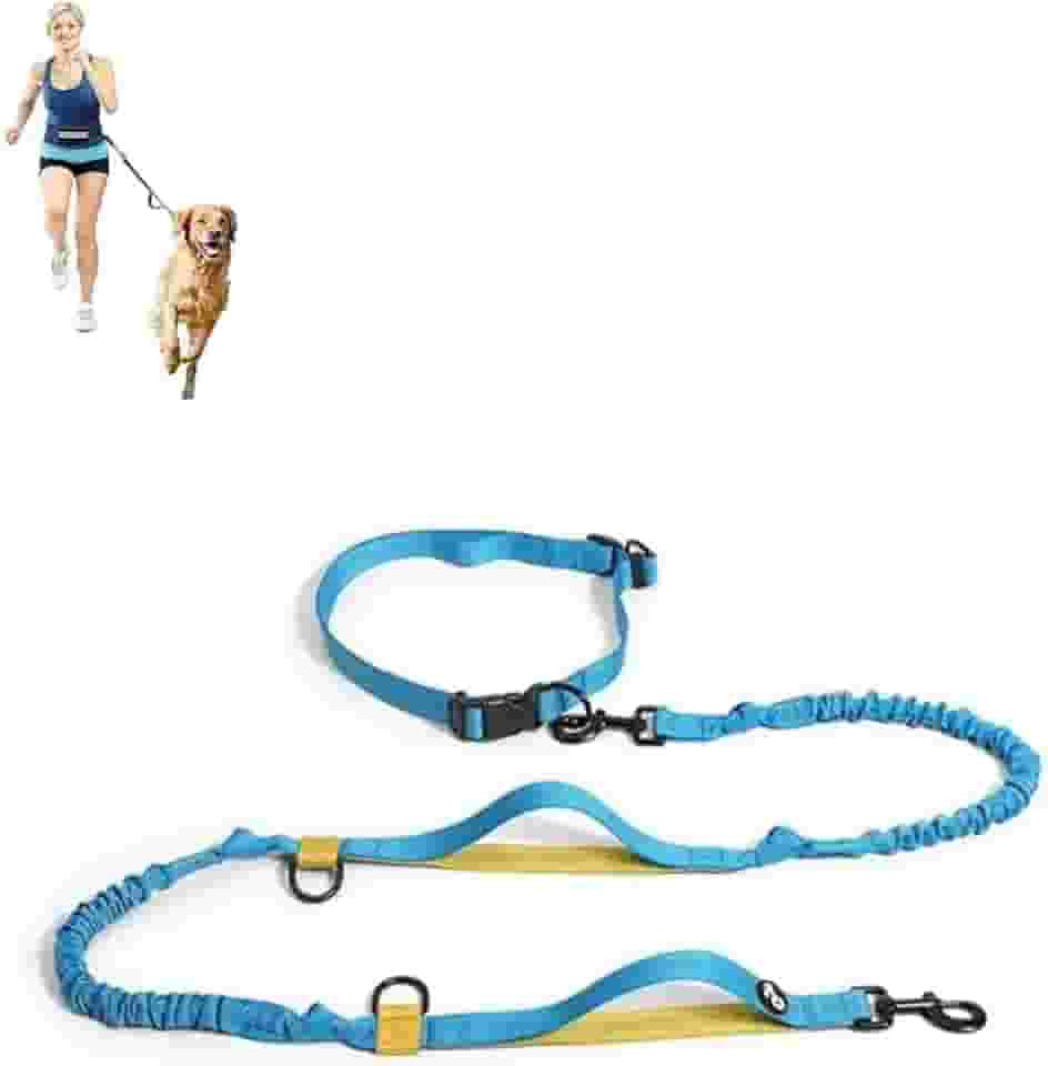 Coleira Passeio Guia Elástica para Corrida com Cão, Cinto Ajustável com Faixa Refletiva.