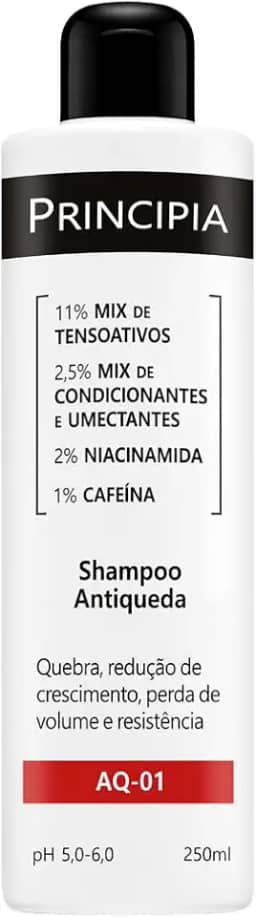 SHAMPOO ANTIQUEDA PRINCIPIA