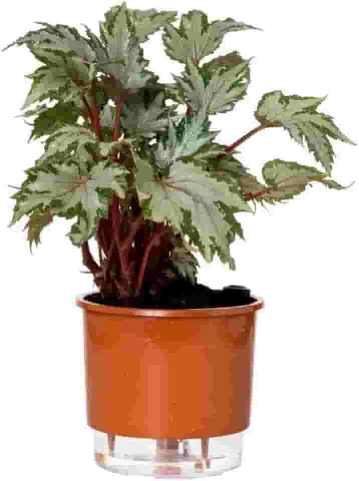 Vaso Autoirrigável Médio N03 16cm x 14cm - Terrazzo Terracota